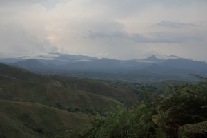 IMG_1257